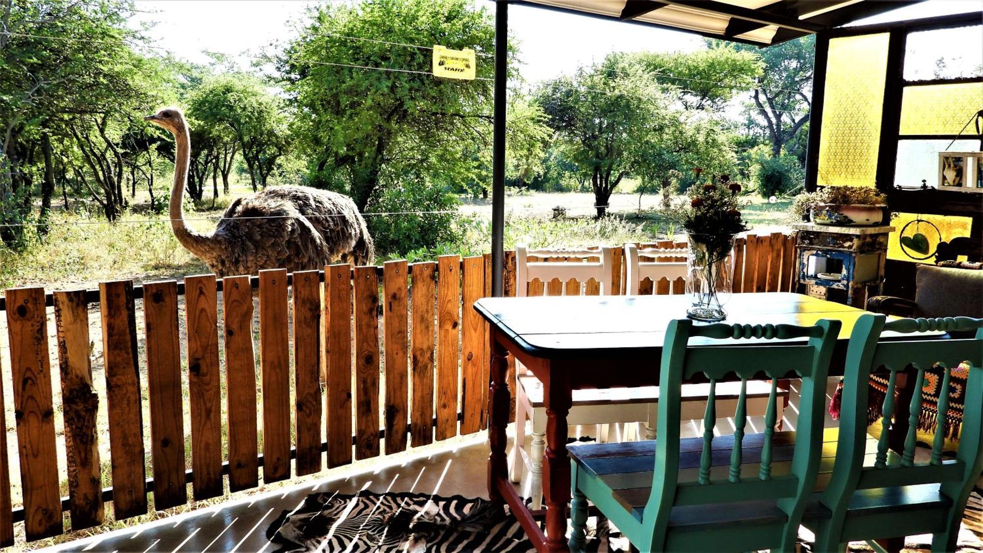 Marulani Bush Lodge Klipdrift Экстерьер фото